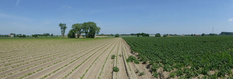 Battlefield looking north from Poperingstraat