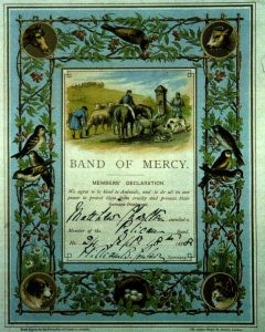 Band of Mercy