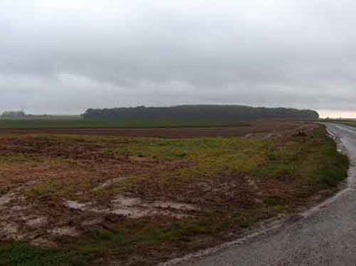 High Wood viewed from Martinpuich - 2005